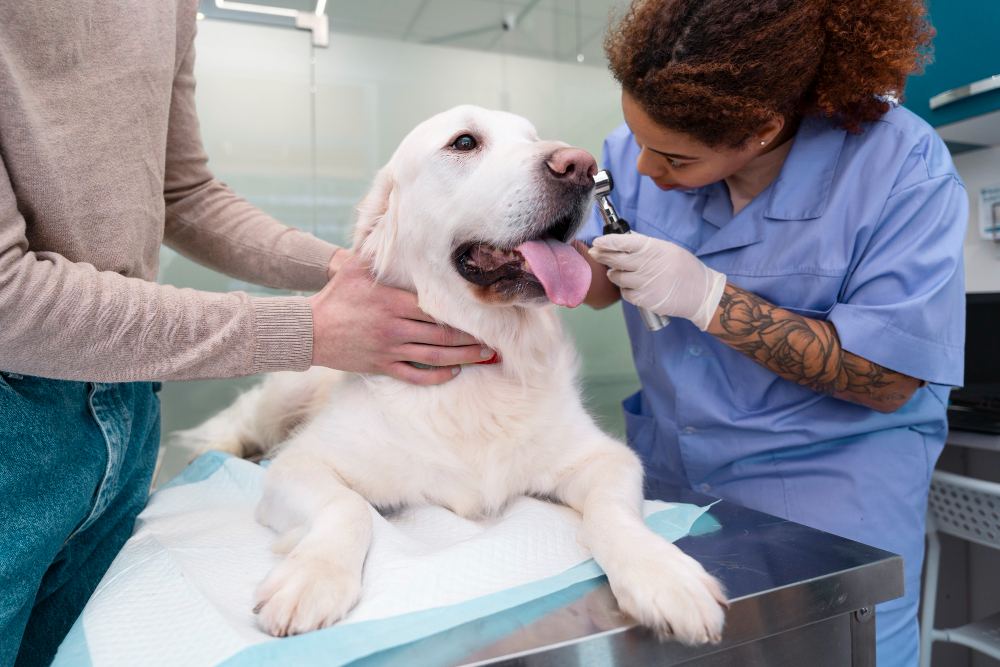 Diagnostics Boca Raton, FL