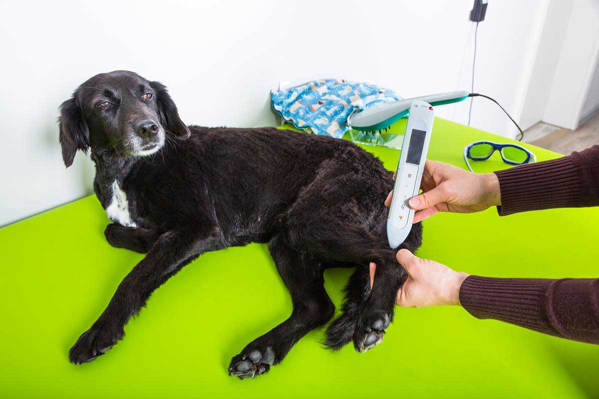 Laser Therapy Boca Raton, FL