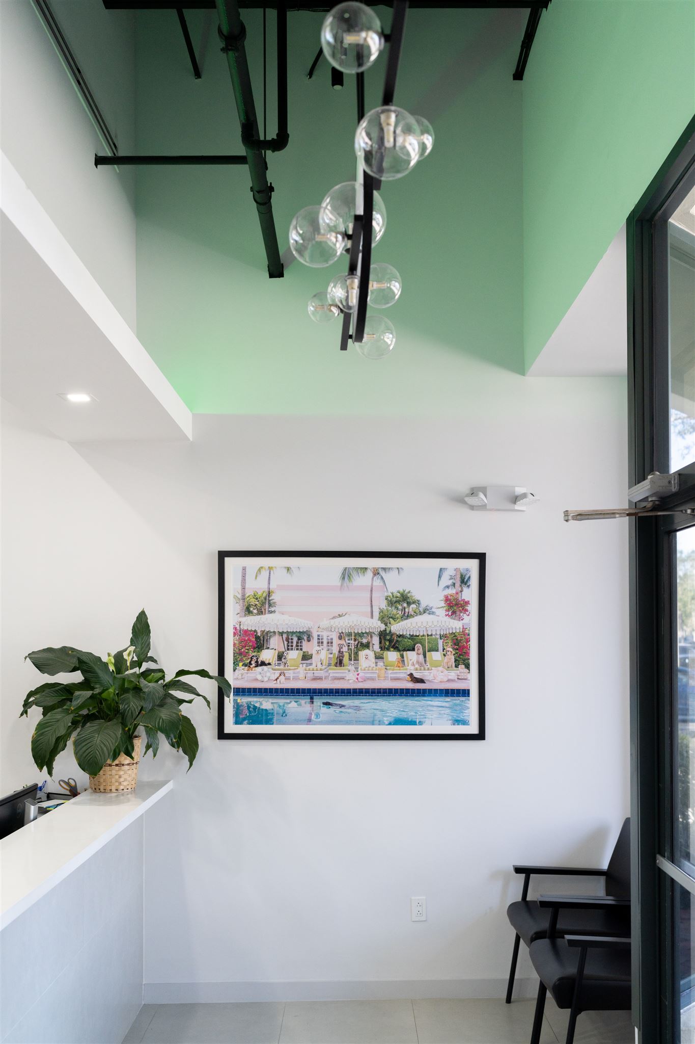 Regency Veterinary Clinic