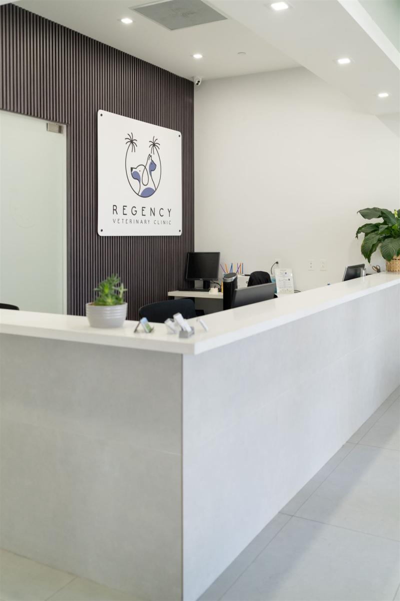 Regency Vet Branding