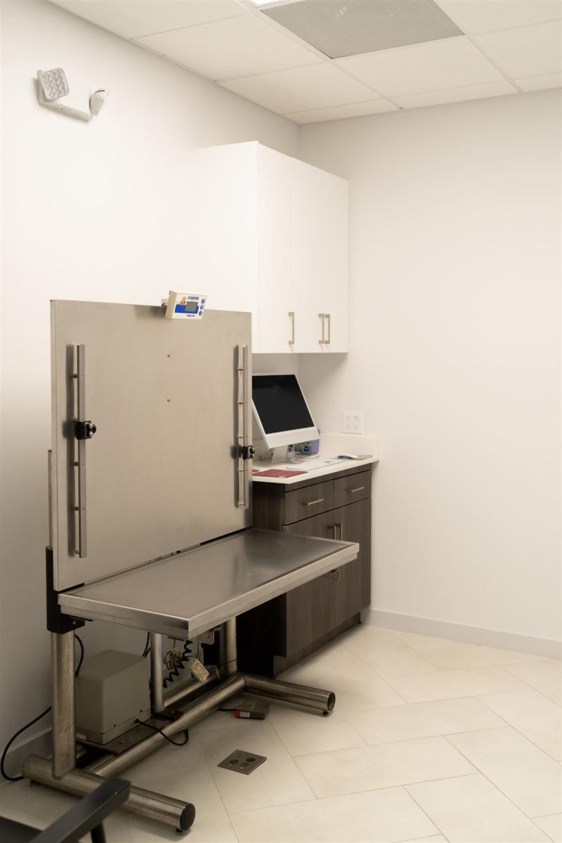 Regency Vet Branding