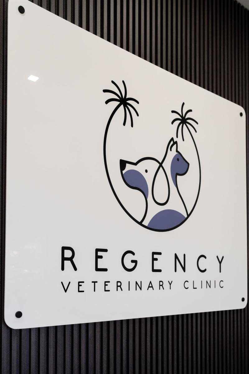Regency Vet Branding