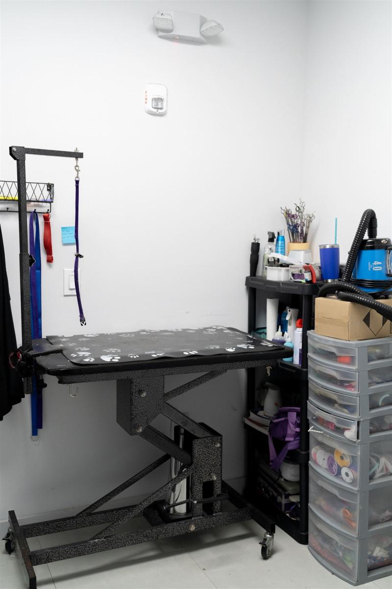 Regency Vet Branding